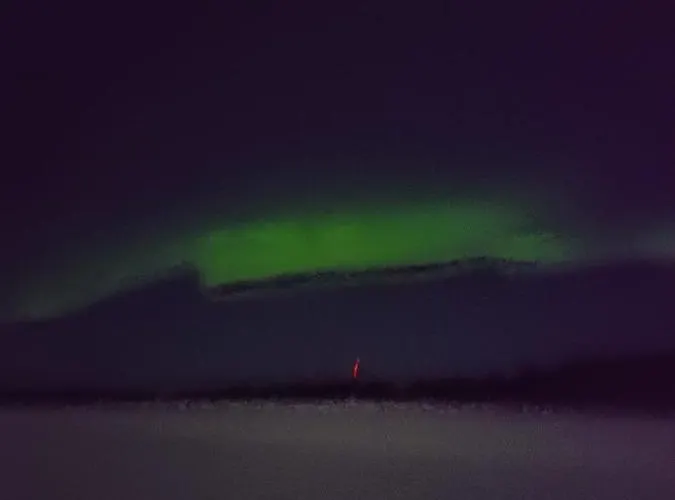 Norvalisma فيلة *